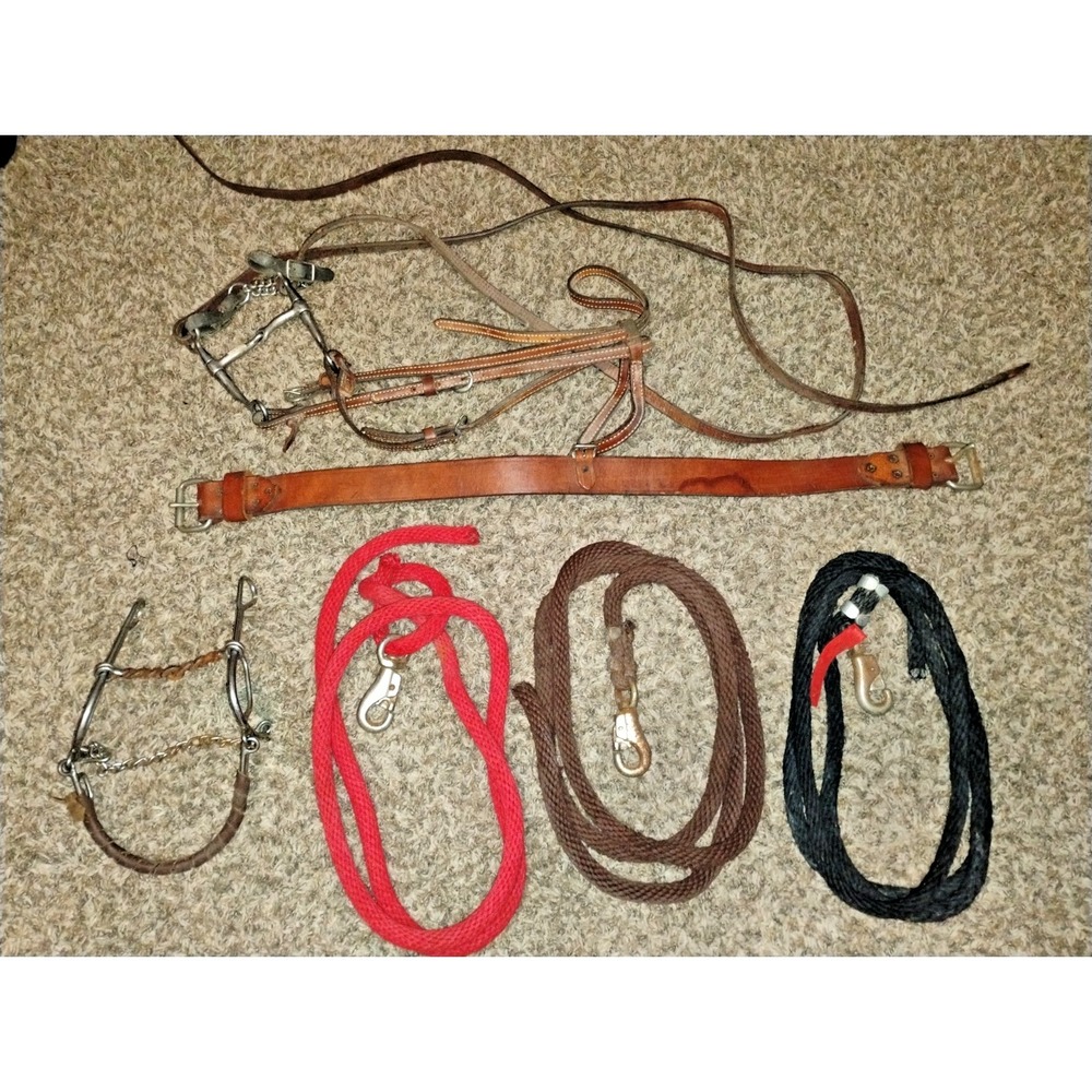 VINTAGE WESTERN HORSE HEADSTALL SLIESTER ROLLER BIT, SPLIT REINS, DOUBLE STICHED